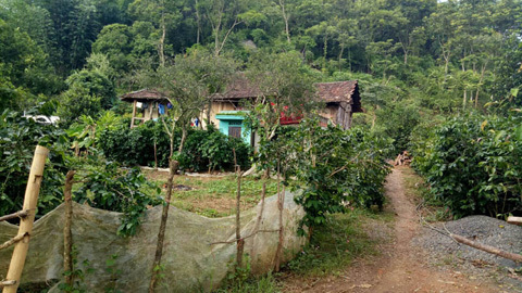 Mắc bệnh lạ, 13 người nói nhảm, nhảy múa suốt ngày