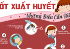 Đại dịch sốt xuất huyết: phải đọc để bảo vệ gia đình