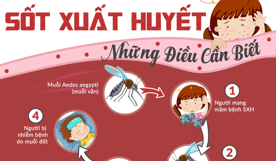 Đại dịch sốt xuất huyết: phải đọc để bảo vệ gia đình