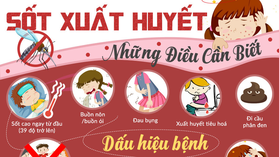 Thủ tướng yêu cầu tăng cường phòng chống sốt xuất huyết