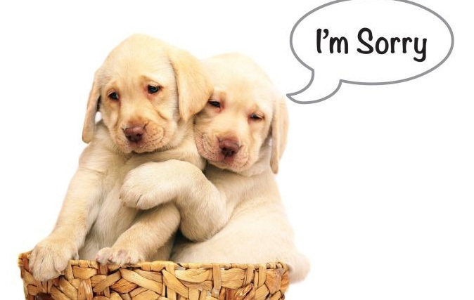 13 cách nói thay cho