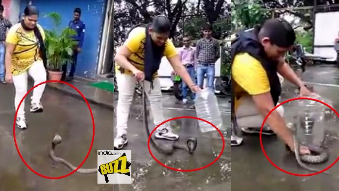 10 clip 'nóng': Cô gái 'thôi miên' bắt sống rắn độc hổ mang chúa