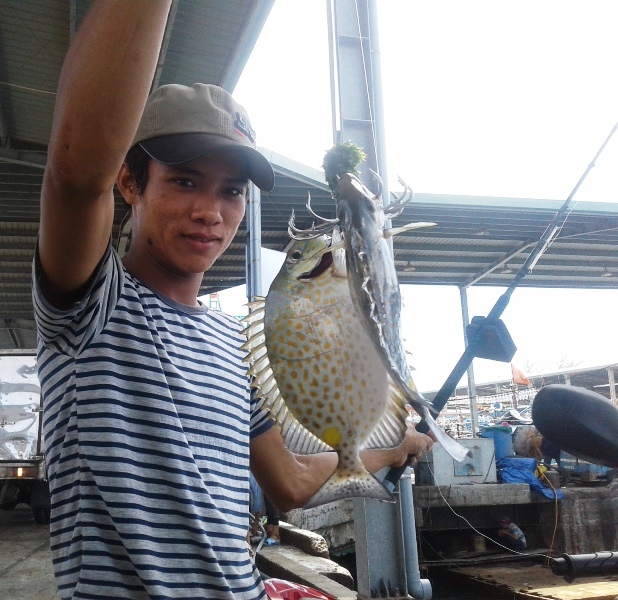 Thú câu cá dìa xả 'stress', kiếm tiền triệu mỗi ngày