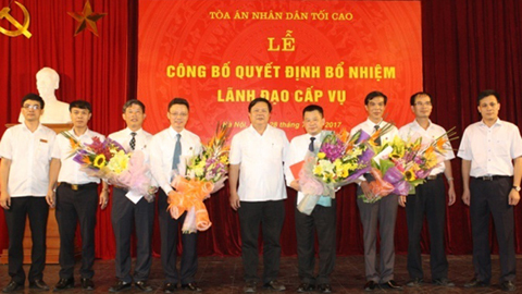 Bổ nhiệm nhân sự TANDTC, Bộ GDĐT, Bộ GTVT