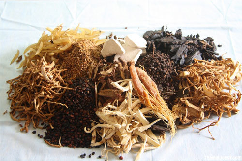 Đông y hỗ trợ điều trị bệnh ung thư gan như thế nào?