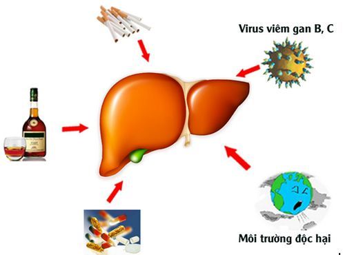 Viêm gan B có nguyên nhân từ đâu?