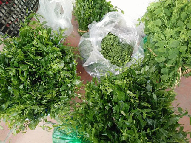 Nhà giàu Hà Nội chi tiền triệu 'săn' đặc sản rau rừng