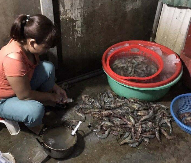 Bột agar mà gian thương bơm vào tôm có hại như thế nào?