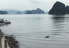 Thi thể nam giới dạt vào sát bờ biển ở Quảng Ninh