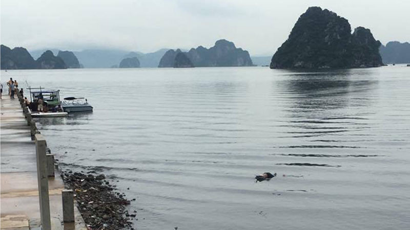 Thi thể nam giới dạt vào sát bờ biển ở Quảng Ninh