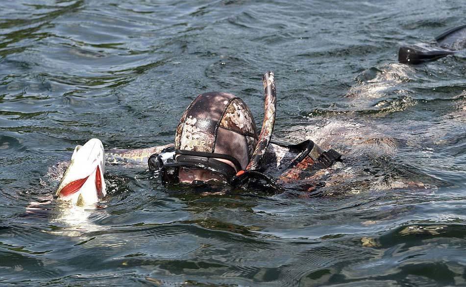 Xem Tổng thống Putin săn cá dưới đáy hồ