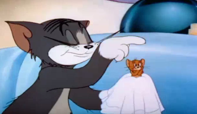 Tom và Jerry: Bị cướp bạn gái
