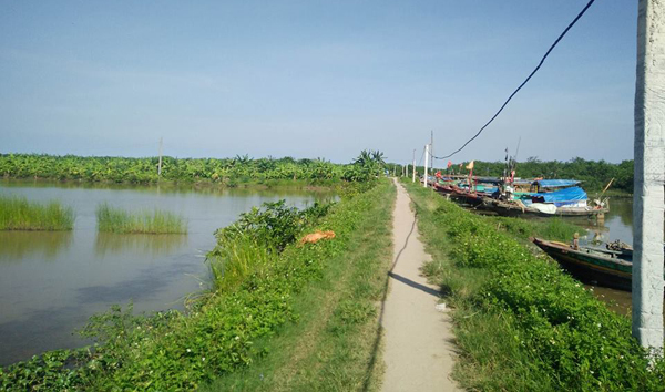 Nổ súng vào đầm tôm ở Tiên Lãng, 1 người bị thương