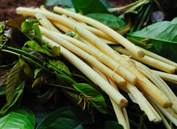 Canh thụt và đọt mây - món ăn đãi khách quý của người Tây Nguyên