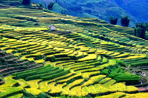 Lên Bát Xát thưởng thức Lễ hội Mùa thu 2017