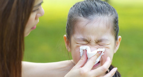 Probiotics L. CASEI 431™ châu Âu giúp phòng ngừa cảm cúm hiệu quả