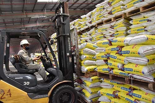 Sắp có sản phẩm NPK Phú Mỹ công nghệ hoá học