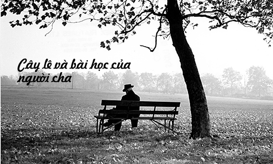 Cây lê và bài học của người cha