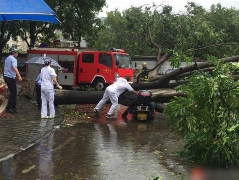 Bão Hato vào Quảng Đông, hàng chục thương vong