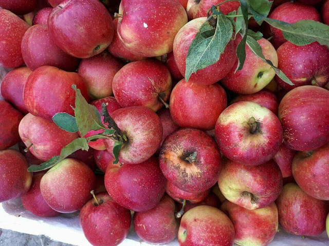 6 loại trái cây Trung Quốc đang tràn ngập chợ Việt Nam