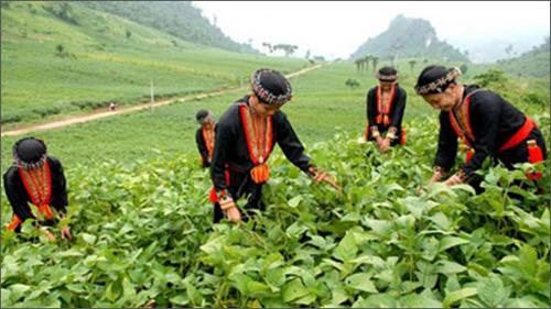 Thủ tướng phát động thi đua chung tay vì người nghèo