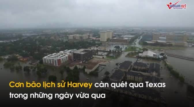 Muôn cảnh cứu người, cứu bò... giữa siêu bão Harvey