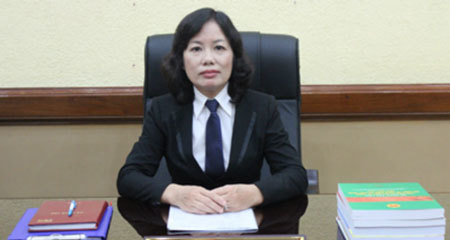 Chánh án TAND TP.HCM: 'Vụ VN Pharma như tảng băng chìm chưa nổi lên'