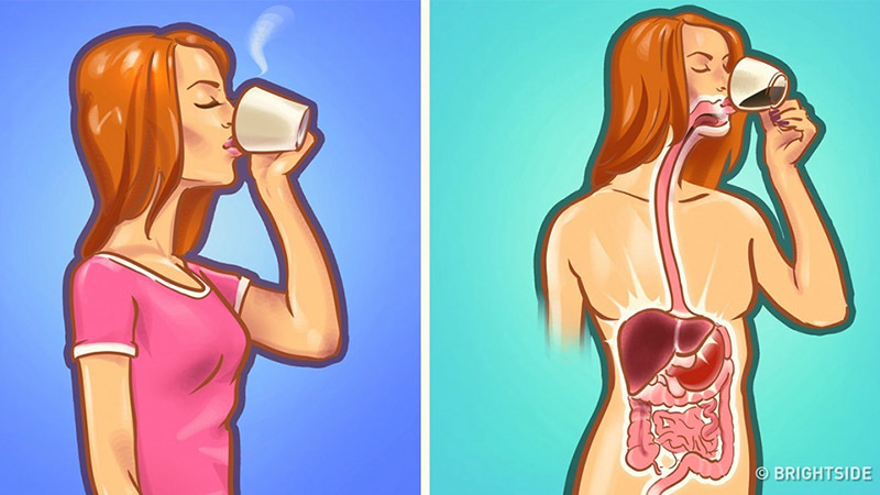 Đừng lên giường khi bụng đói
