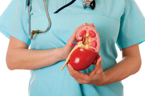 Sỏi thận và những điều cần biết