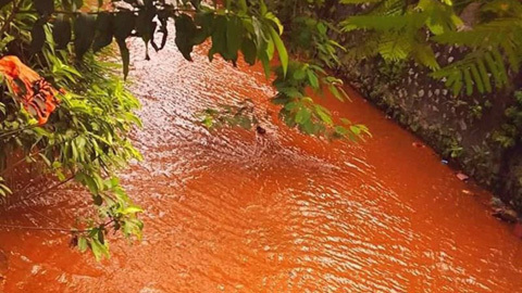 Nước suối chuyển màu đỏ giữa Hạ Long