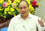 Thủ tướng yêu cầu điều tra, làm rõ vụ phá rừng tại Bình Định