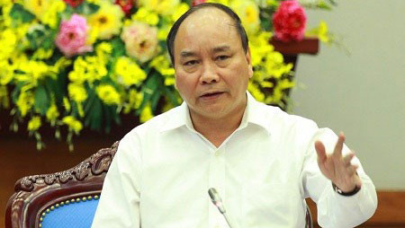 Thủ tướng yêu cầu điều tra, làm rõ vụ phá rừng tại Bình Định