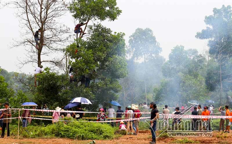 Leo ngọn cây xem đua ô tô địa hình