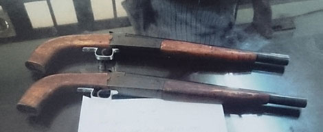 Hành trình truy bắt những 'sát thủ hoa cải' ở Hà Nội