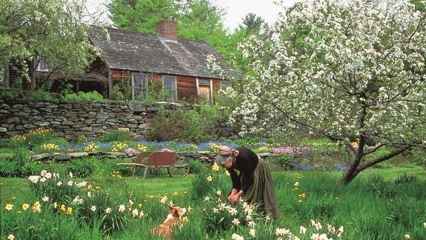 Ngôi nhà đầy hoa cỏ và cách sống hoài cổ hiếm có của cụ bà 92 tuổi