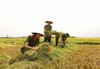 Nữ chiến sĩ công an gặt lúa giúp dân chạy ‘siêu bão’