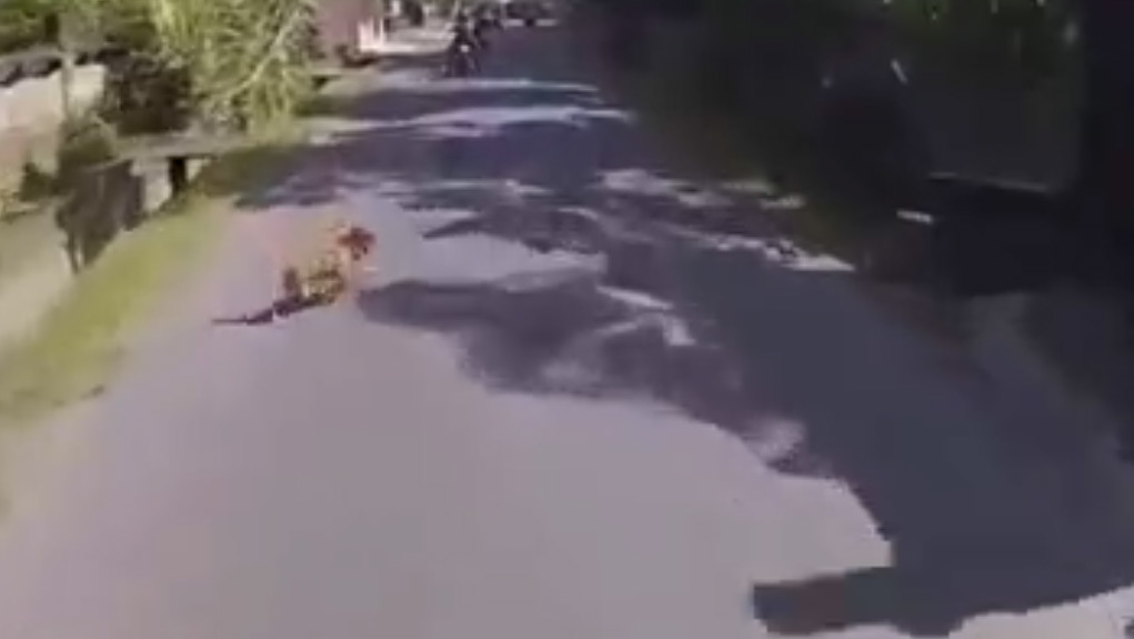 Nỗi sợ chó thả rông của người đi xe máy