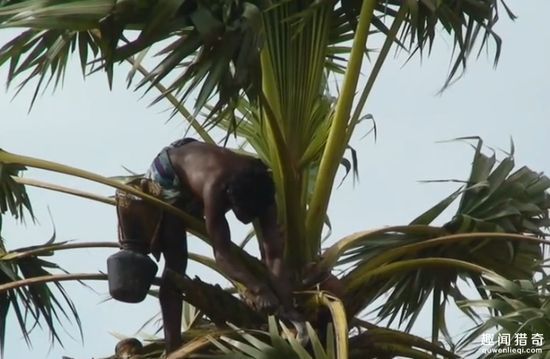 Những công việc kì quặc lại có mức lương cao không tưởng