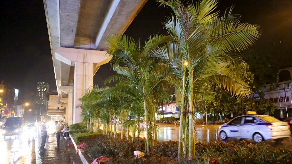 Gầm đường sắt trên cao Cát Linh-Hà Đông có 1.500 cây cau đẻ