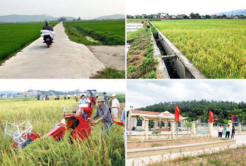 Hà Nội đầu tư 7.400 tỷ đồng xây dựng nông thôn mới