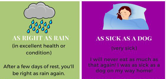 Học tiếng Anh: 'As thick as thieves