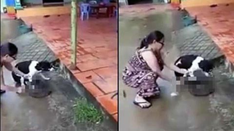 Lời trần tình của người phụ nữ chặt chân chó