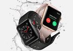 Apple thú nhận lỗi kết nối mạng ở Apple Watch 3