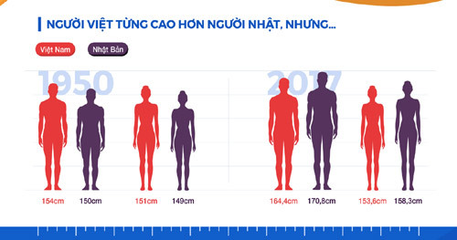 Vì sao người Việt chậm cao?