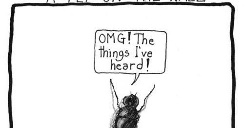 “A fly on the wall” có phải là “một con ruồi trên tường”?