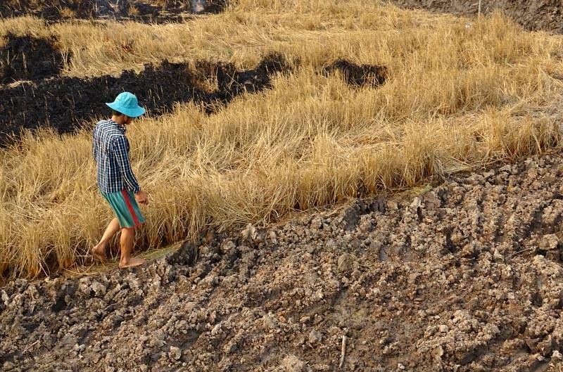 Đồng bằng sông Cửu Long và nguyên tắc ‘không hối tiếc’