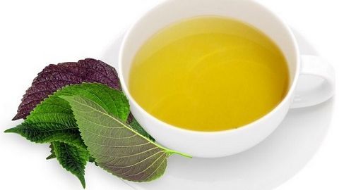 Mách bạn cách giảm cân ngon miệng với lá tía tô