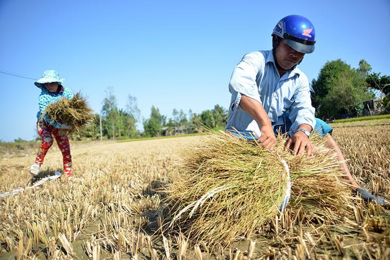 Biến đổi khí hậu: Thời cơ ‘làm mới' cho chính ĐBSCL