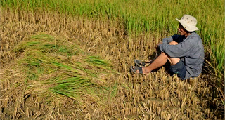 Kiến tạo và hành động cho tương lai Đồng bằng sông Cửu Long