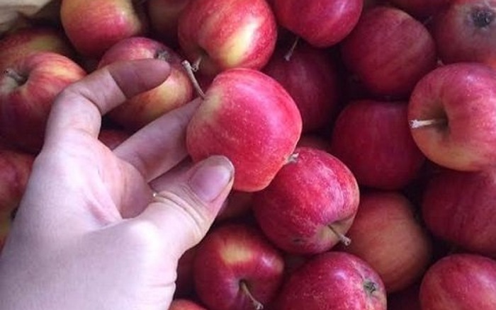 Tuyệt chiêu nhận biết táo Trung Quốc